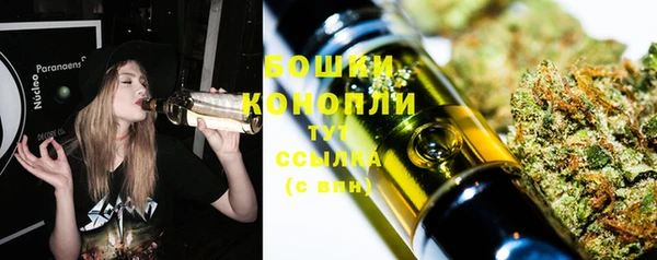 дживик Богородицк
