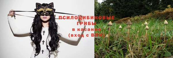 mix Богданович