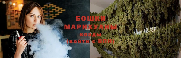 дживик Богородицк