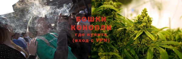 дживик Богородицк