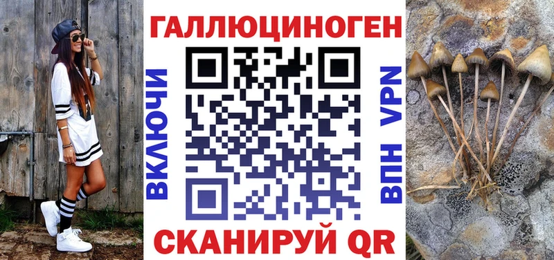 закладки  Юрьев-Польский  Галлюциногенные грибы MAGIC MUSHROOMS 